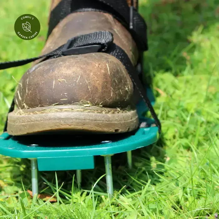 Bosmere Spiked Lawn Aerating Shoes 4 Bosmere Spiked Lawn Aerating Shoes - Image 2