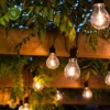 Edinburgh Festoon String Lights -Garden Care Shop edinburgh festoon string lights 1000x1000 6527acac4af11 l