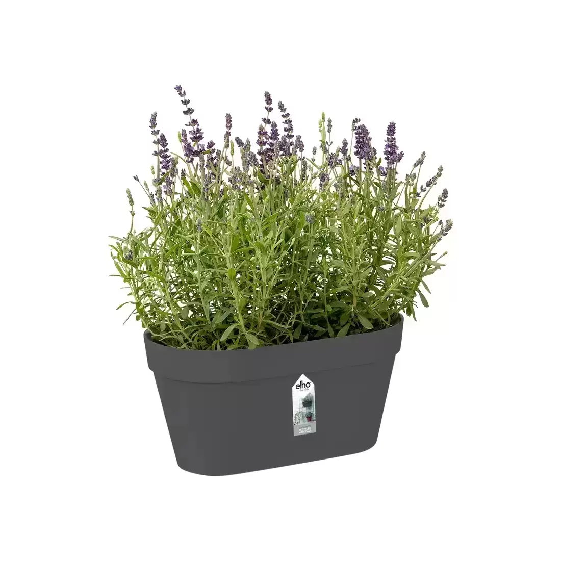 Elho® Loft Urban Green Wall Duo 28cm Anthracite 4 Elho® Loft Urban Green Wall Duo 28cm Anthracite - Image 2