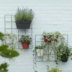 Elho® Loft Urban Green Wall Duo 28cm Anthracite 8 Elho® Loft Urban Green Wall Duo 28cm Anthracite -Garden Care Shop elho loft urban green wall duo 28cm anthracite 731x731 61f327d934037 l