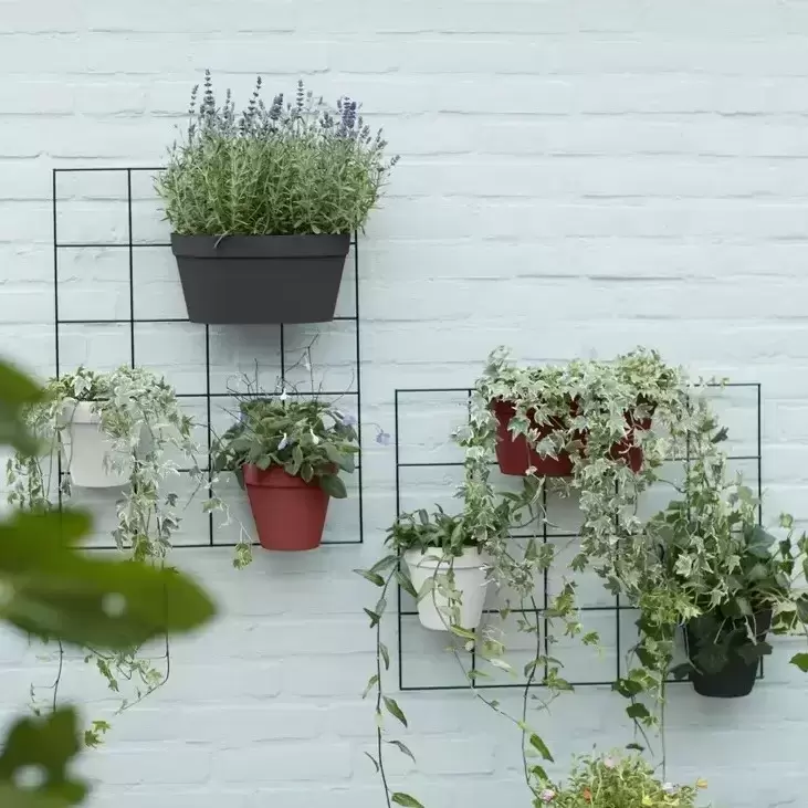 Elho® Loft Urban Green Wall Duo 28cm Anthracite 5 Elho® Loft Urban Green Wall Duo 28cm Anthracite - Image 3