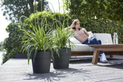 Elho® Vibia Straight Round 30cm Anthracite 10 Elho® Vibia Straight Round 30cm Anthracite -Garden Care Shop elho vibia straight round anthracite 1629365615 1500x1000 61f328b065bcb l