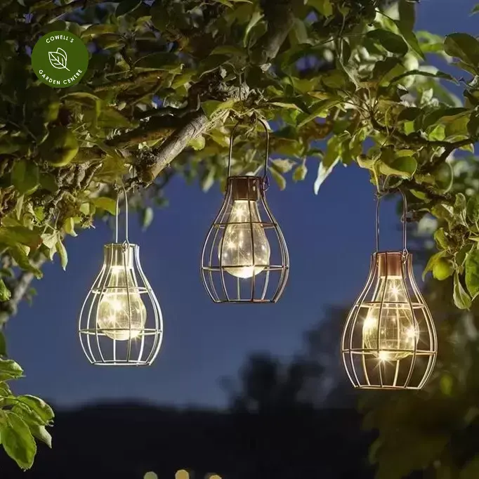 Firefly Caged Lantern - Medium Rose Gold 3 Firefly Caged Lantern - Medium Rose Gold