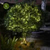 Firefly String Lights - Warm White 50 Lights -Garden Care Shop firefly string lights warm white 4480x4480 652694e636b7c l