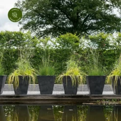 Ivyline Ella Black Planter - Small -Garden Care Shop ivyline ella black planter small 1000x1000 64d37faf56f33 l