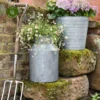 Ivyline Galvanised Milk Churn Planter 1 Ivyline Galvanised Milk Churn Planter -Garden Care Shop ivyline galvanised milk churn planter 1000x1000 64d3b63b9431d l
