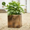 Ivyline Hampton Copper Square Planter - Medium -Garden Care Shop ivyline hampton copper square planter medium 1000x1000 64f5f3ad6834b l