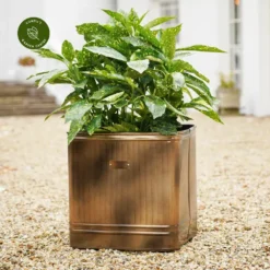 Ivyline Hampton Copper Square Planter - Medium