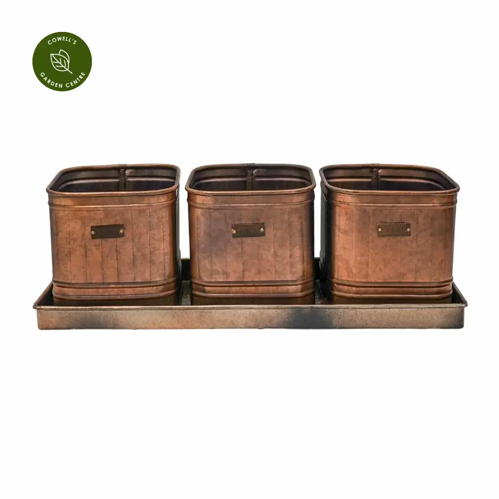 Ivyline Herb Planters With Tray 4 Ivyline Herb Planters With Tray - Image 2