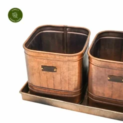 Ivyline Herb Planters With Tray 8 Ivyline Herb Planters With Tray -Garden Care Shop ivyline herb planters with tray set of three 1000x1000 64f701a1a521b l