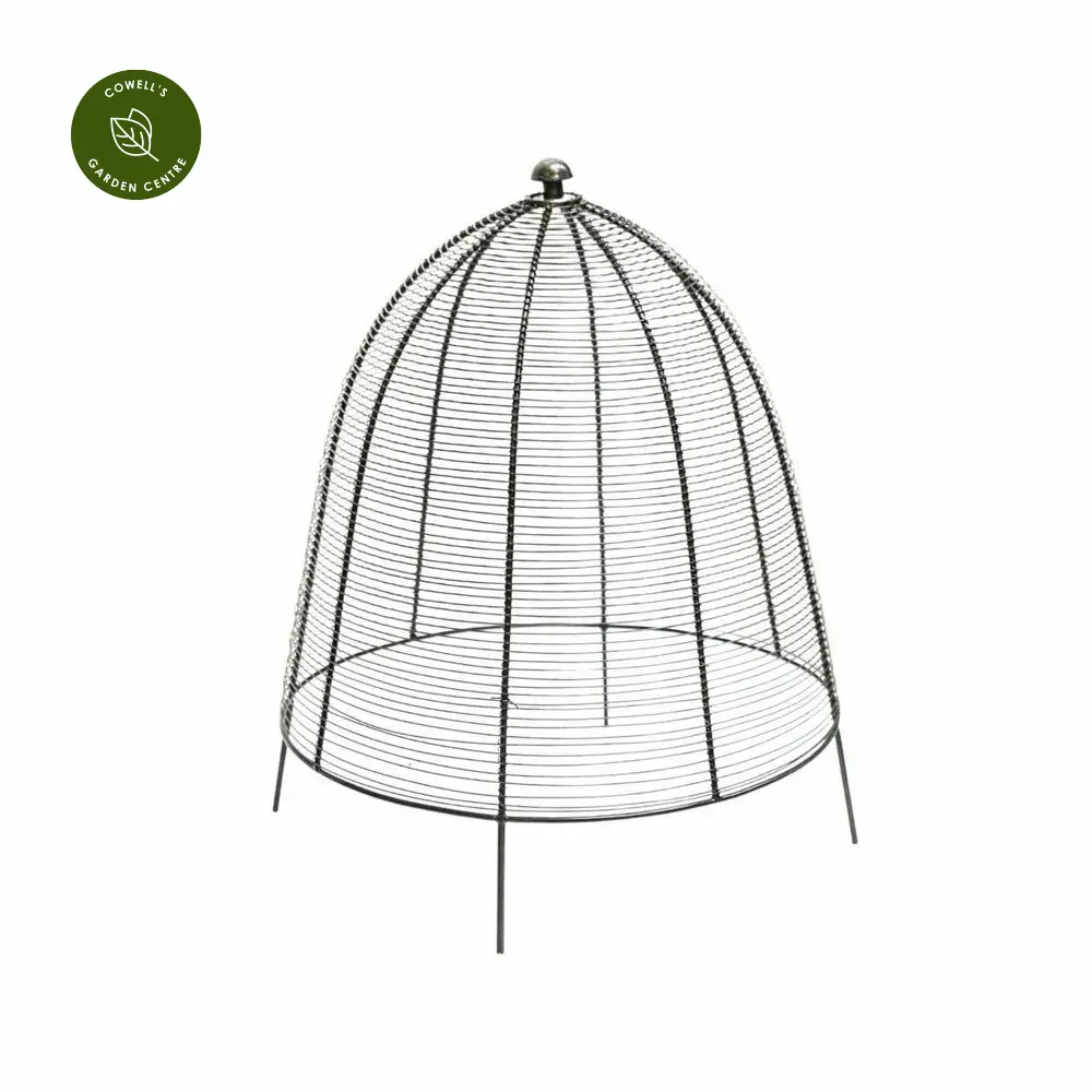 Ivyline Wired Zinc Plant Protector - Medium 4 Ivyline Wired Zinc Plant Protector - Medium - Image 2