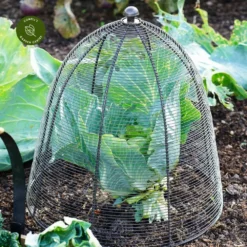 Ivyline Wired Zinc Plant Protector - Medium 9 Ivyline Wired Zinc Plant Protector - Medium -Garden Care Shop ivyline wired zinc plant protector medium 1000x1000 64f6f5b02addd l