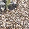 Kelkay Bulk Bag Coastal Pebbles -Garden Care Shop kelkay bulk bag coastal pebbles 1536x1536 61f34f856dd5d l