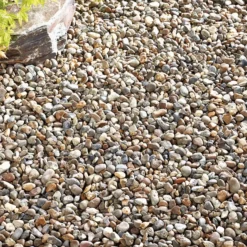 Kelkay Bulk Bag Oyster Pearl Pebbles