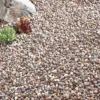 Kelkay Bulk Bag Quartzite Pea Gravel 10mm -Garden Care Shop kelkay bulk bag quartzite pea gravel 10mm 1536x1536 61f351e0dba4b l