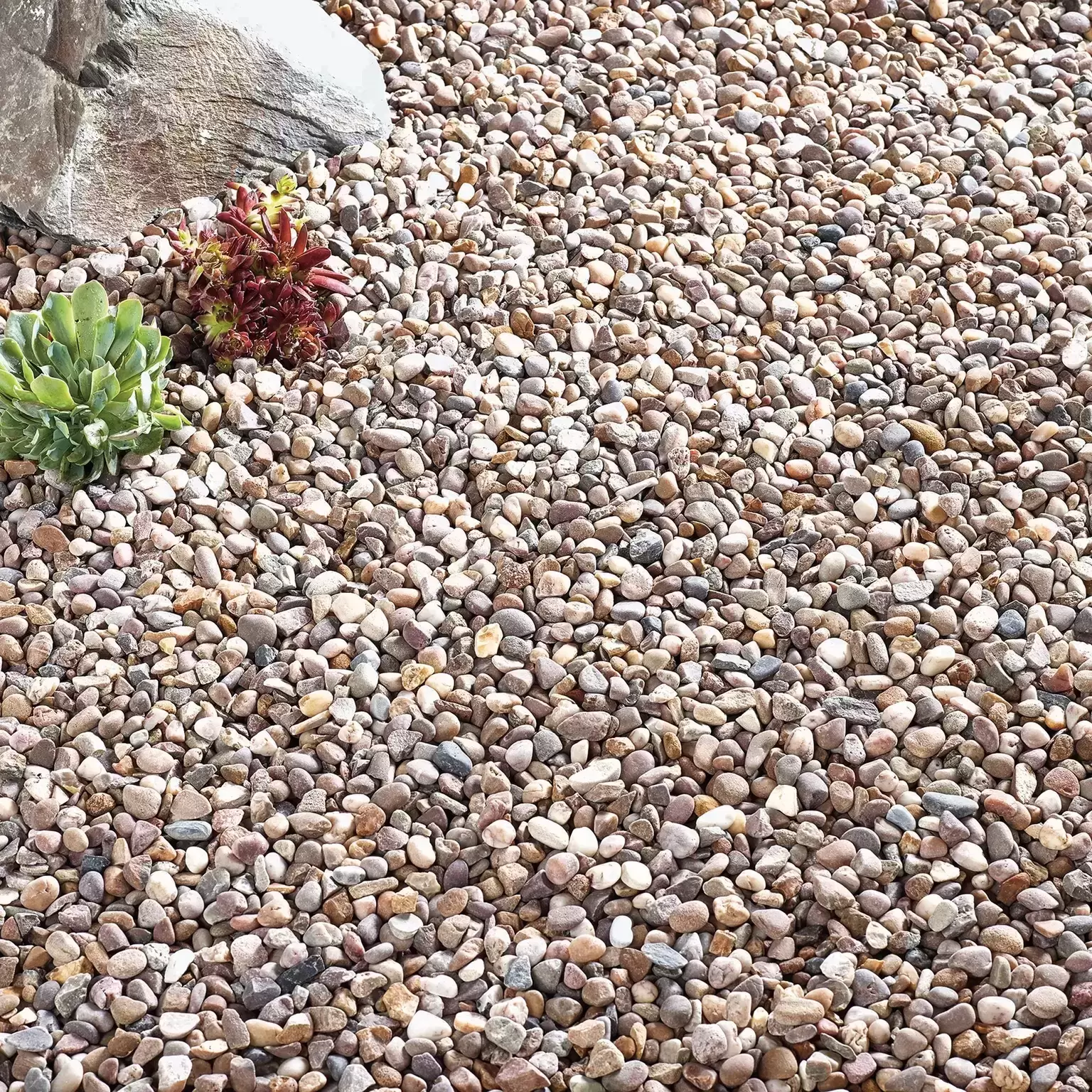 Kelkay Bulk Bag Quartzite Pea Gravel 10mm 3 Kelkay Bulk Bag Quartzite Pea Gravel 10mm