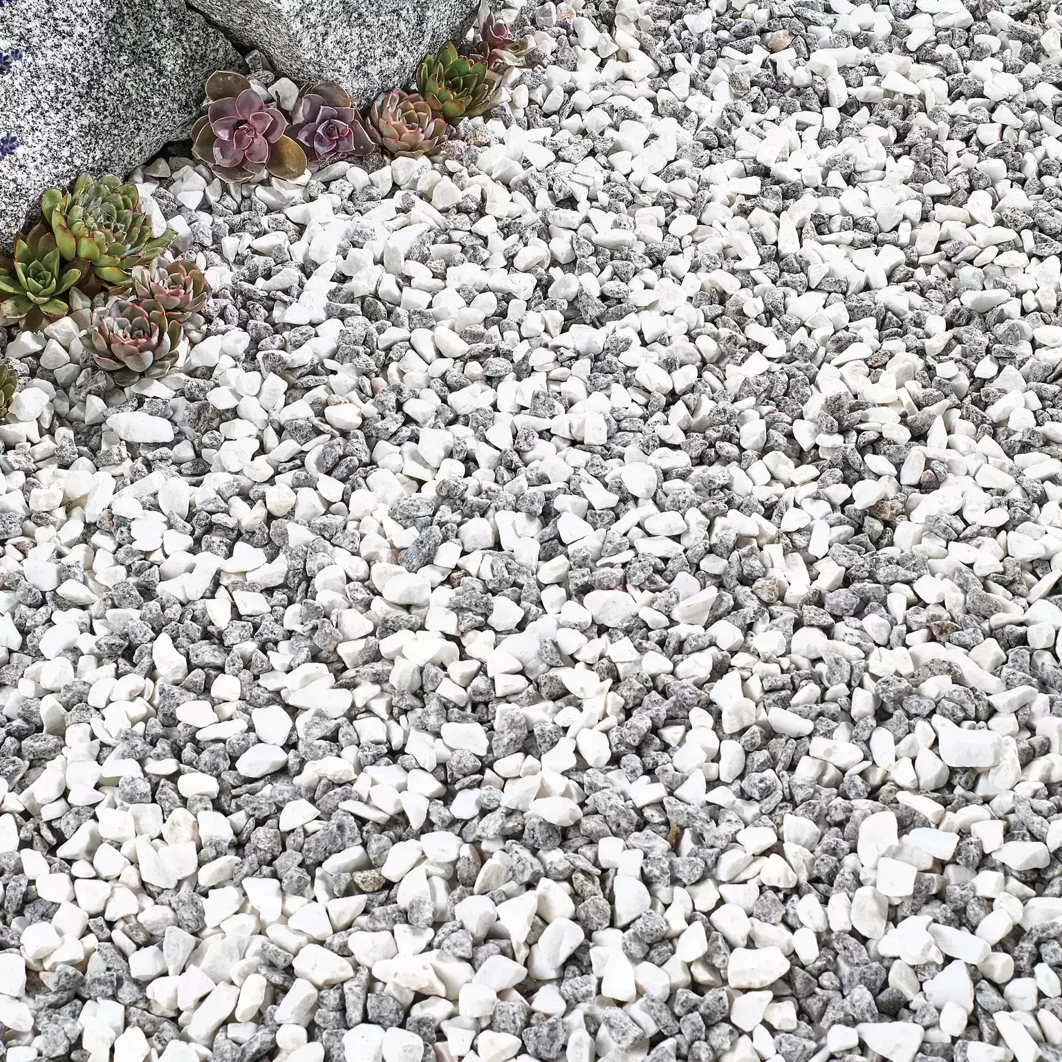 Nordic Frost 4 Nordic Frost - Image 2