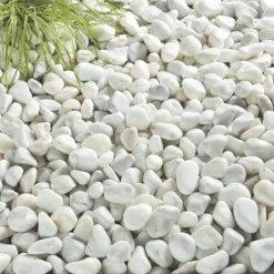 Pearl White Cobbles -Garden Care Shop pearl white cobbles 1536x1536 61f3555be363f l
