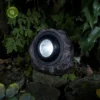 Rock Spotlight -Garden Care Shop rock spotlight 3840x3840 6526aa404cc80 l
