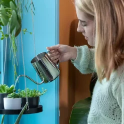 Stainless Steel Watering Can 0.5L -Garden Care Shop stainless steel watering can 0 5l 1634826694 1240x1240 61f34b3fed196 l