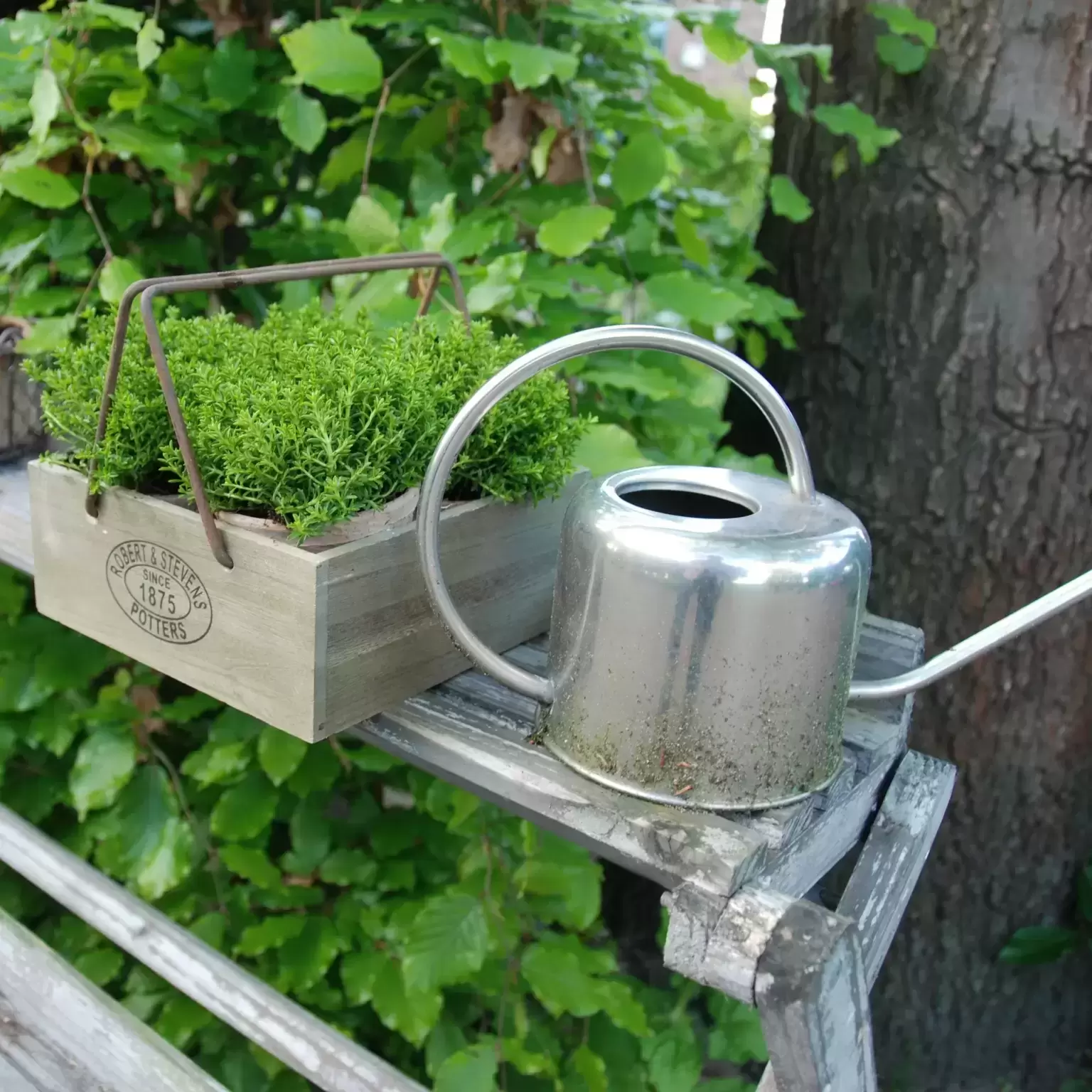 Stainless Steel Watering Can 1L 4 Stainless Steel Watering Can 1L - Image 2