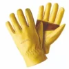 Gloves - Ultimate Golden Leather Med / Size 8 -Garden Care Shop ultimate golden leather 600x600 61f3461f69372 l